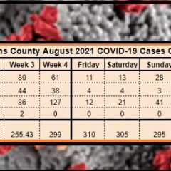 Three Additional COVID Deaths, 62 New Cases Reported For Hopkins County