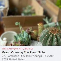 Grand Opening Planned For The Plant Niche