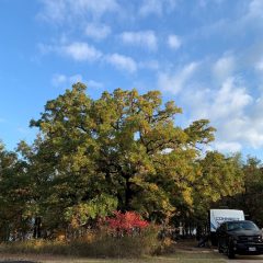 Celebrate Cooper Lake State Park’s Anniversary Oct. 15,16! Free Fun for Entire Family!