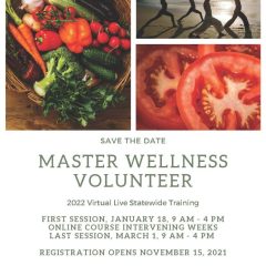 Extension Service Offers Master Wellness Training