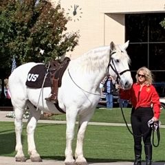 Equine Symbolizing the Riderless Horse Becomes Honorary Member of Hopkins County Marine Corps League