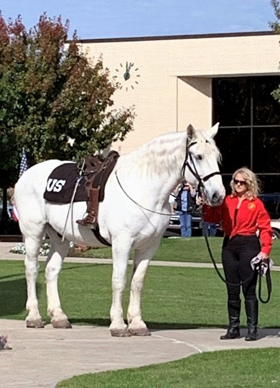 Equine Symbolizing the Riderless Horse Honorary Member of