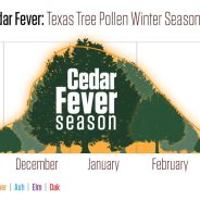 It’s Cedar Fever Season In Texas