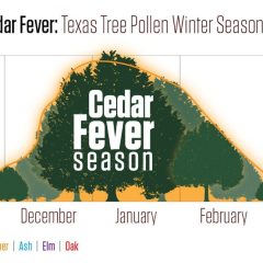 It’s Cedar Fever Season In Texas