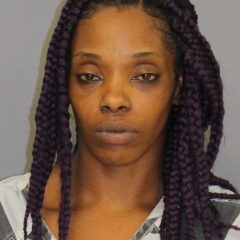 Woman Jailed On Felony Theft Charge