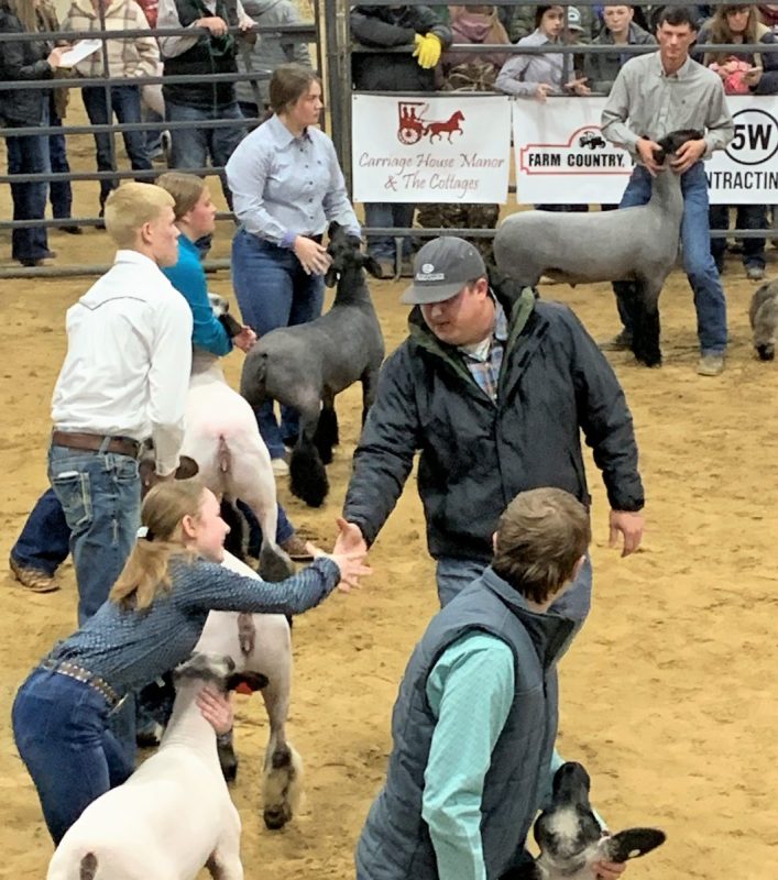 NETLA Hopkins County Jr. Market Livestock Show 2022 Lamb Competition