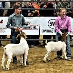 NETLA Hopkins County Junior Livestock Show 2022 Goat Contest Results