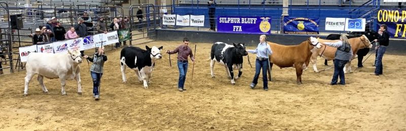 NETLA Hopkins County Junior Market Livestock Show 2022 Steer Contest NETLA Hopkins County Junior Market Livestock Show 2022 Steer Contest
