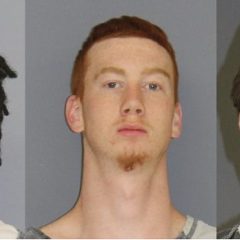 Deputies Arrest Three On Felony Warrants In 2 Days