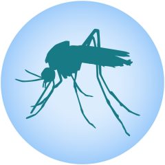 Texas Reports First West Nile Case Of 2022