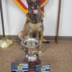 HCSO Canine Chiv Named Top Dog At USPCA Trials