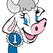 2023 Hopkins County Dairy Festival Events