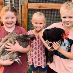 North Hopkins ISD Welcomes 11 Feathered Friends To Their New Cluckingham Palace