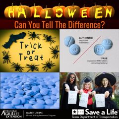Trick-or-Treat, Do You Know The Difference Between Prescription and Fentanyl Pills?