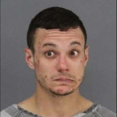 Pickton Man Arrested On Highway 19