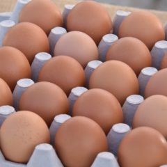 Egg prices plummet as supplies outpace demand