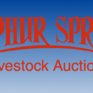 NETBIO Cattle Sale In Sulphur Springs