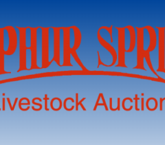 NETBIO Cattle Sale In Sulphur Springs