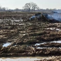 Sulphur River Board Notifies Authorities of Damages from ENGIE Solar Plant in Dike