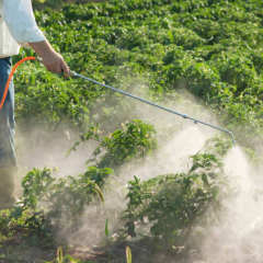 Understanding Pesticide Applicator Licenses By Mario Villarino