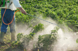 Texas Ag Commissioner Sid Miller Celebrates an Outstanding Year of Pesticide Waste Removal Events