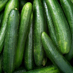 Growing Cucumbers In Containers By David Wall