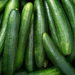 Should You Prune Cucumber Plants? By David Wall