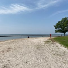 Make A Splash This Summer At Cooper Lake State Park -Celebrating 100 Years Of Texas State Parks!