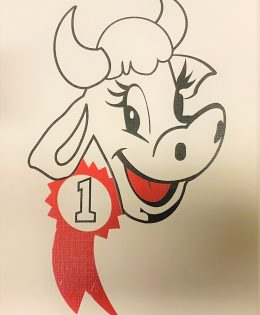 Meet the 2025 Hopkins County Dairy Festival Queen Contestants