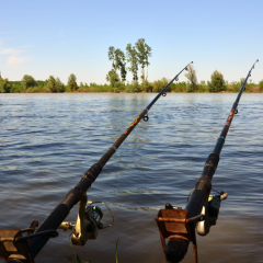 Free Fishing Day In Texas Slated For June 3