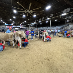 2023 Dairy Festival Milking Contest Results