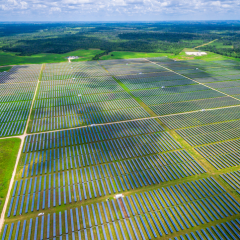 Solar Power Proves Useful Amid Intense Heat Waves Across The State