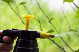 Ag Commissioner Sid Miller Calls on All Texans to Be Vigilant