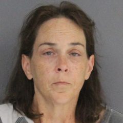 Clarksville Woman Arrested For Theft