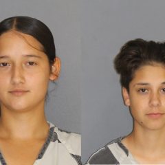 Pair Arrested on Warrants for Theft