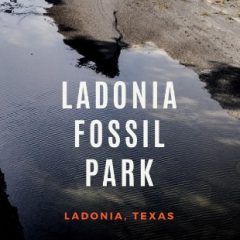Temporary Fossil Park in Ladonia