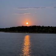 August Brings Multiple Astronomical Adventures to Cooper Lake State Park