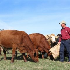 Proposition 1 Protects Texas Family Farmers and Ranchers