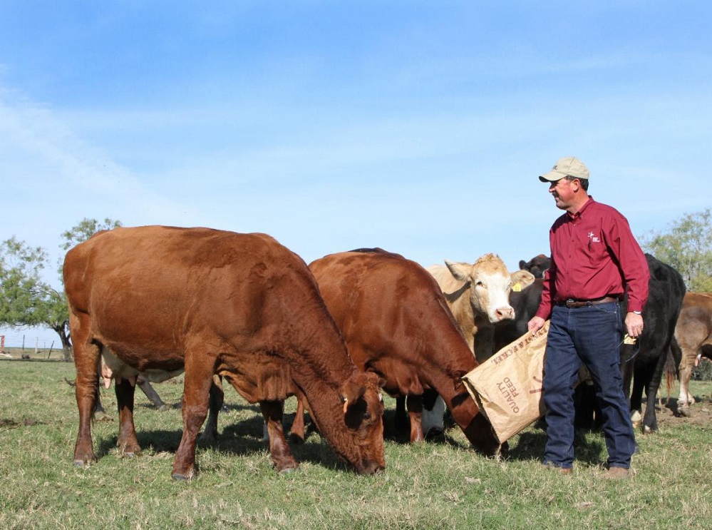 Russell Boening is a full-time farmer and rancher from Wilson County