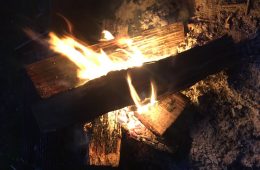 Celebrate the Holiday Season Outside at a Texas State Park