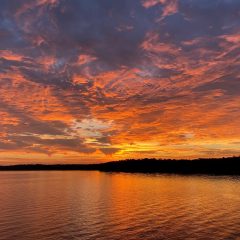 Cooper Lake State Park Announces Activites For January 2024