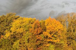 Celebrate the Holiday Season Outside at a Texas State Park