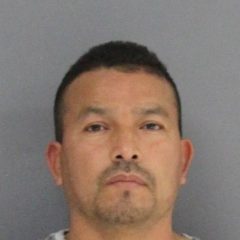 Parking Infraction Leads to Arrest For Theft