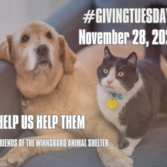 Winnsboro Animal Shelter: Giving Tuesday is November 28, 2023!