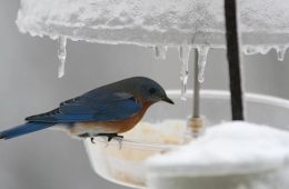 ERCOT Already Warning Texans About Winter Weather and the Power Grid