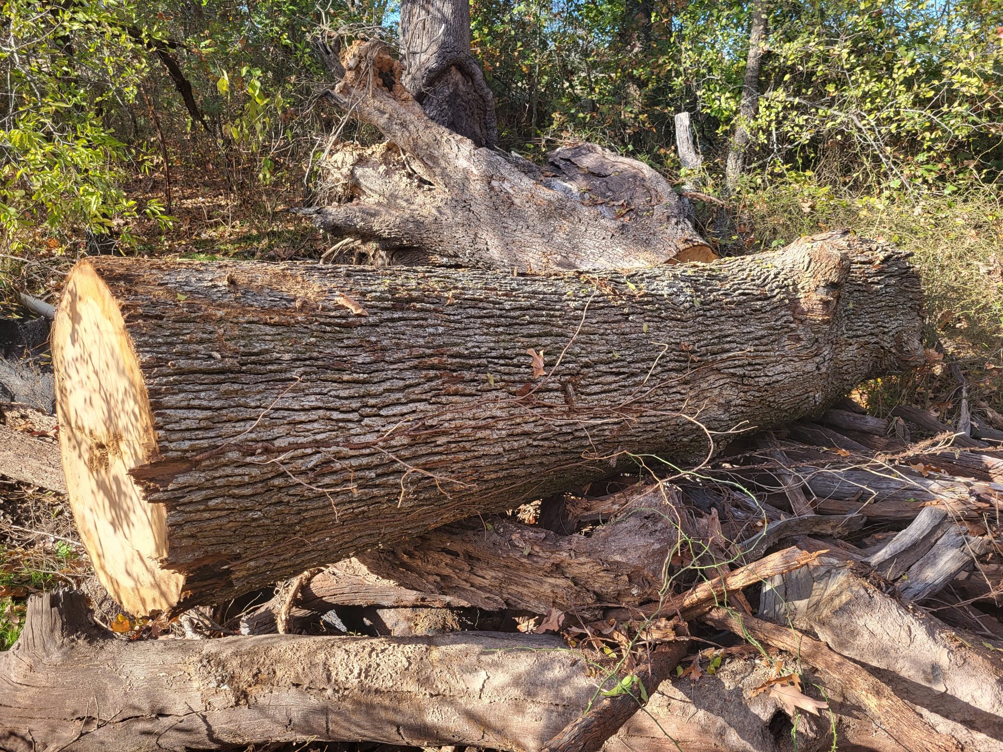 Be Sure to Renew Your Ag/Timber Registration by December 31 Ksst Radio