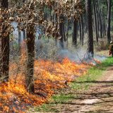 Warm, dry Holiday Weather Elevates Wildfire Risk Across Texas