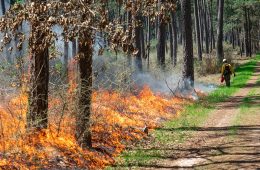 Warm, dry Holiday Weather Elevates Wildfire Risk Across Texas