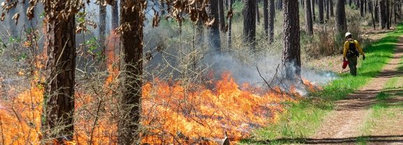 Warm, dry Holiday Weather Elevates Wildfire Risk Across Texas