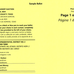 Sample Ballot for Tuesday Looks Easy Enough